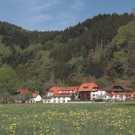 Appartamento Am Rain *