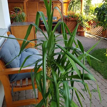 Am Rain Appartamento