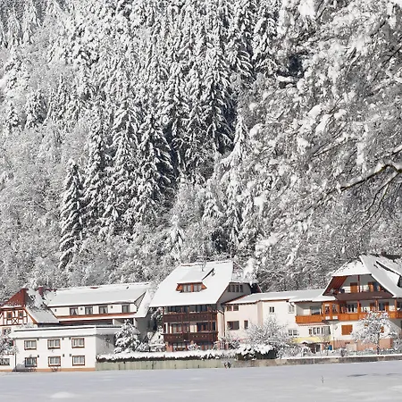 Appartamento Am Rain *