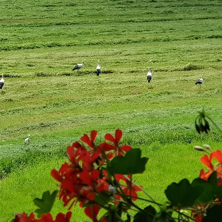 Am Rain * Winden im Elztal