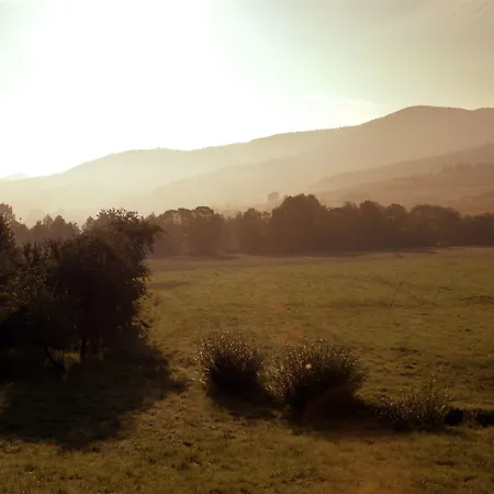 Am Rain Winden im Elztal