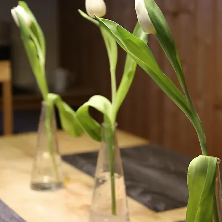 Appartamento Am Rain